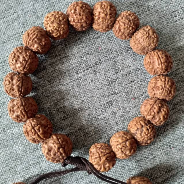 GELANG JENITRI / RUDRAKSA DIM 12 MUKHI 5