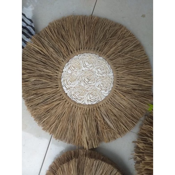 Juju Rumput Kerang 60cm