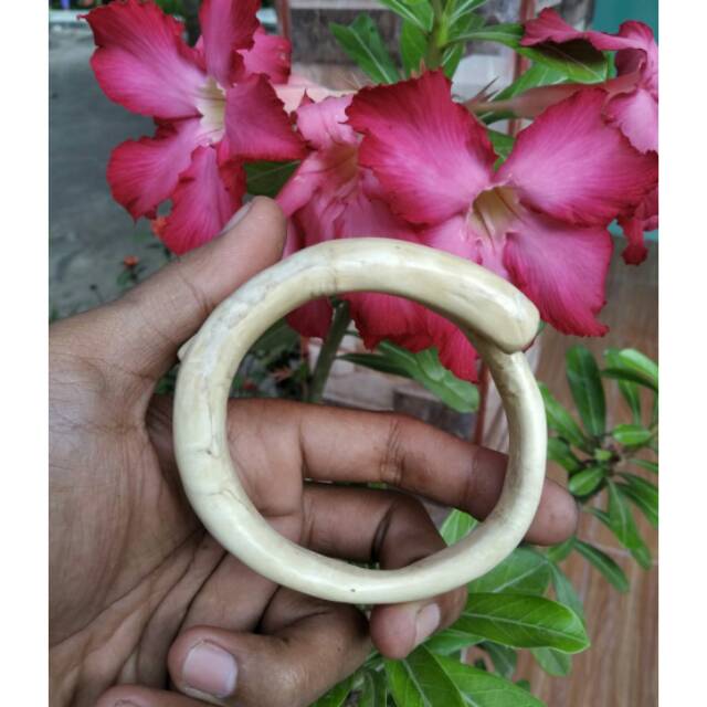 GELANG AKAR BAHAR PUTIH
