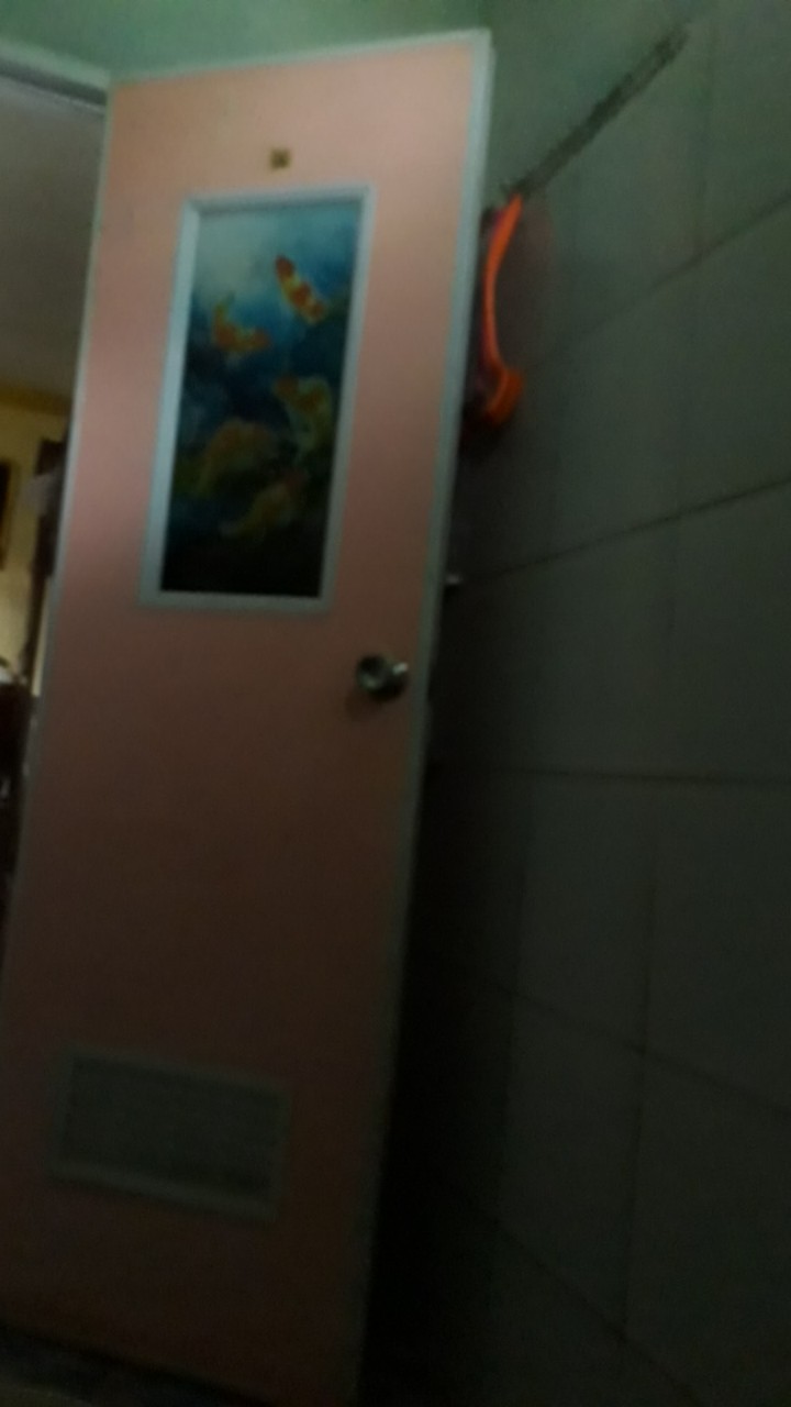 Gelas Air Zamzam Gelas Cucing Emas Gold/ Sliver Isi 12pcs