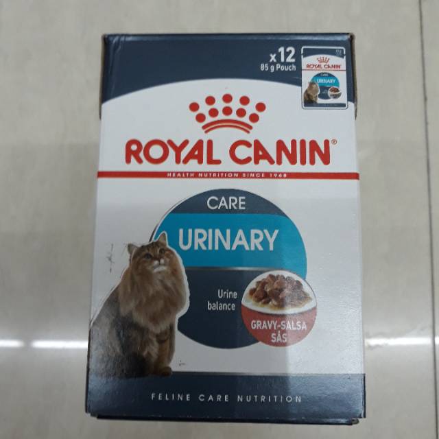 ROYAL CANIN SACHET ( 1 BOX ) | Urinary|Kitten|Instictive|Intense Beauty| Digestive|