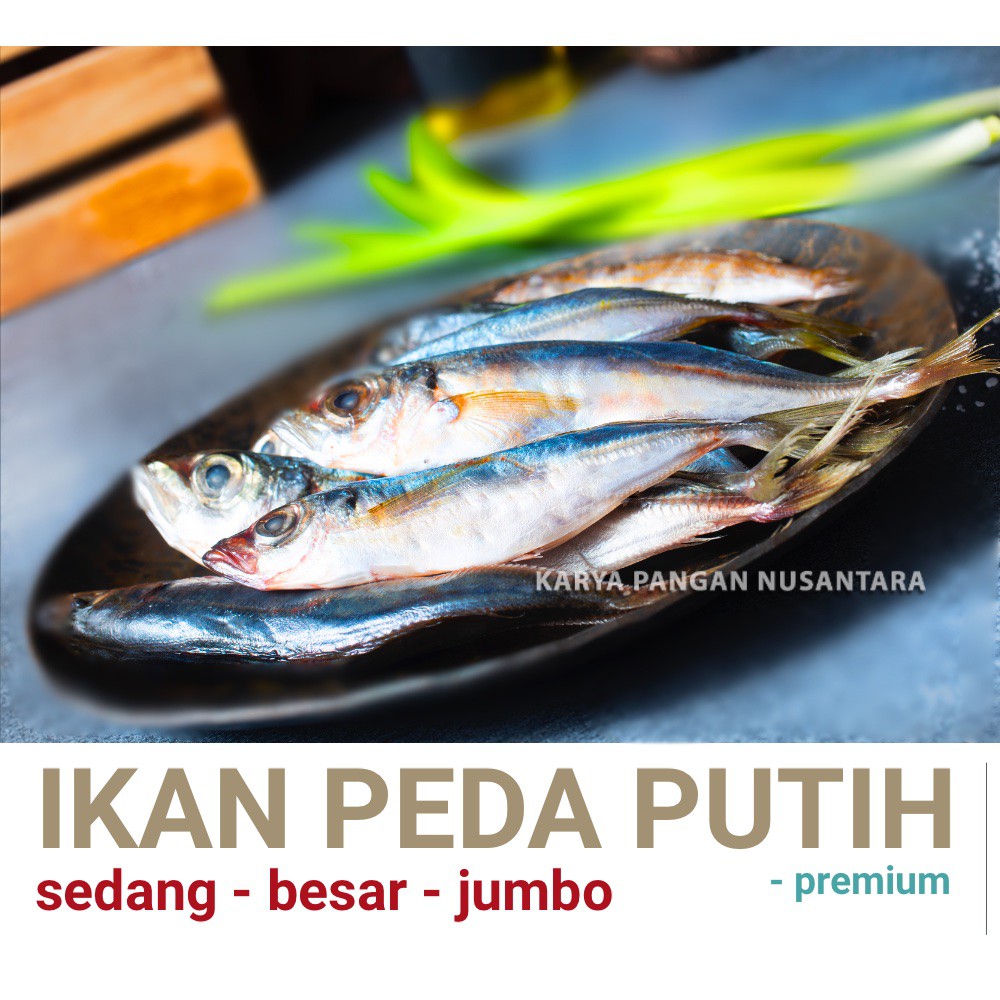 

IKAN PEDA ASIN PREMIUM / IKAN PEDA PUTIH / IKAN PEDA PUTIH BESAR