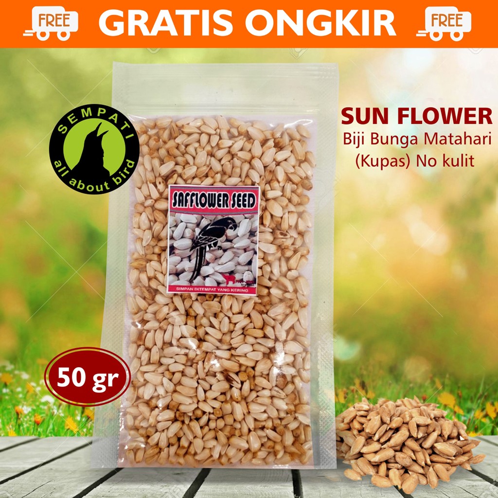 Safflower Biji Bunga Matahari Kuaci Kwaci Kupas Pakan Burung Kenari Lovebird Hamster Marmut Saffrf Shopee Indonesia