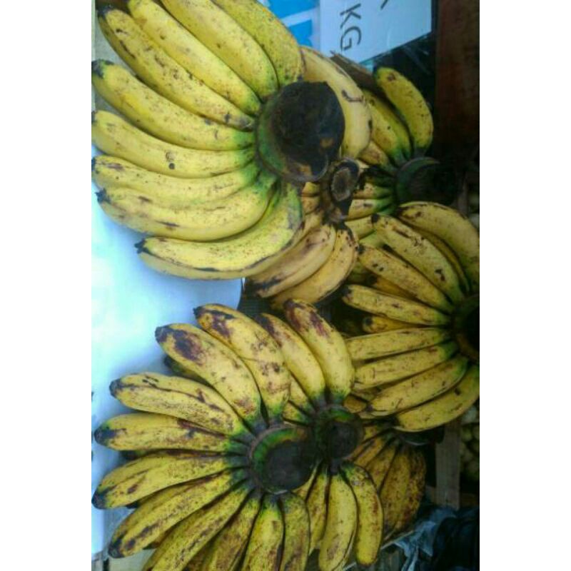 

Pisang Barangan Medan 1 Sisir