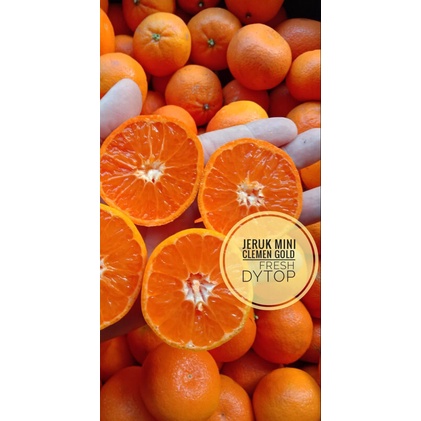 

Buah Jeruk Kecil Clemen Gold Import Fresh Segar Manis