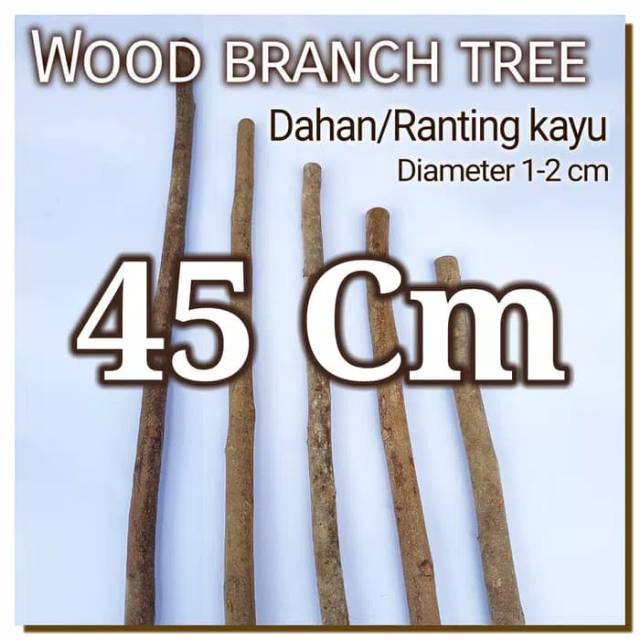 Wood Branch Tree 1-2x45 Cm Dahan kayu potongan kayu bahan craft dekor