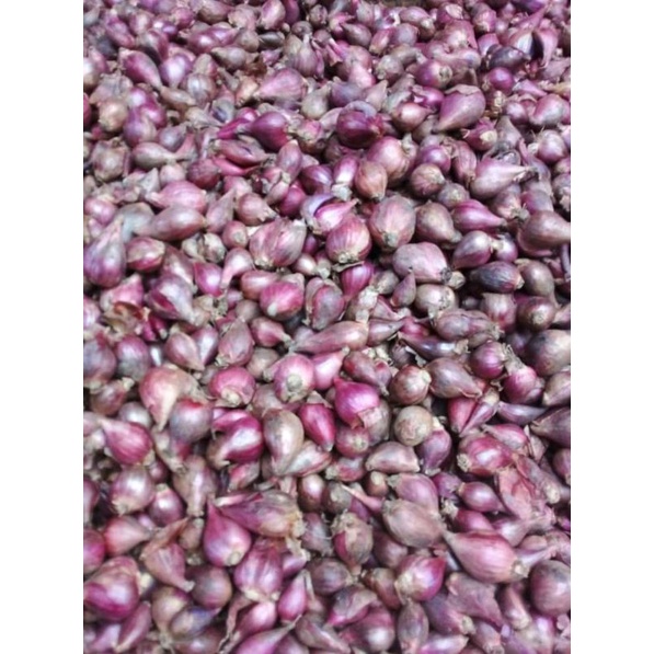 

BAWANG MERAH BREBES SEDANG CAMPUR KECIL