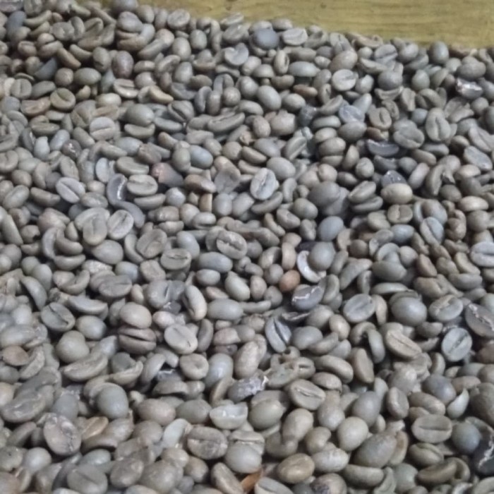 

Biji Kopi Arabika fullwash Java Ijen 1kg