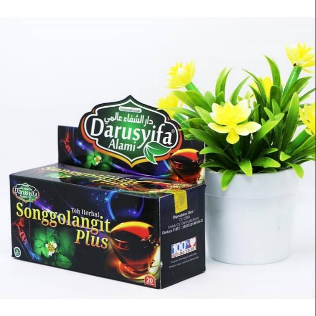 

Teh celup songgolangit plus