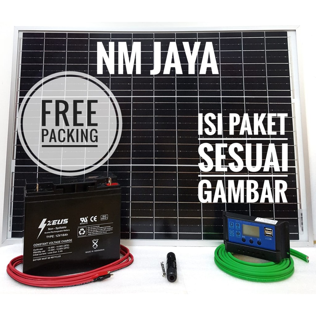 Paket Hemat Solar Panel Surya 50WP termasuk Aki 12v 18 ah FREE Packing Kayu