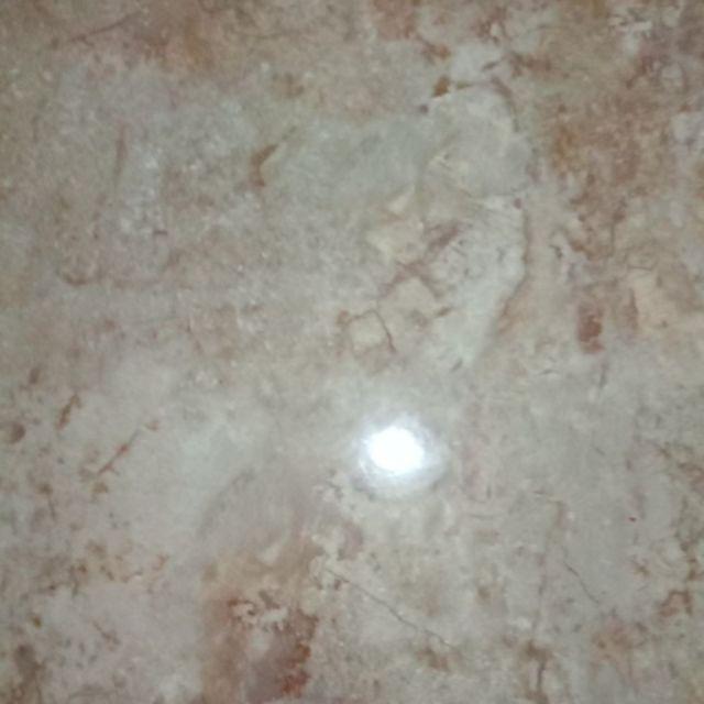 Styrofoam + Ice Gel Sterofoam