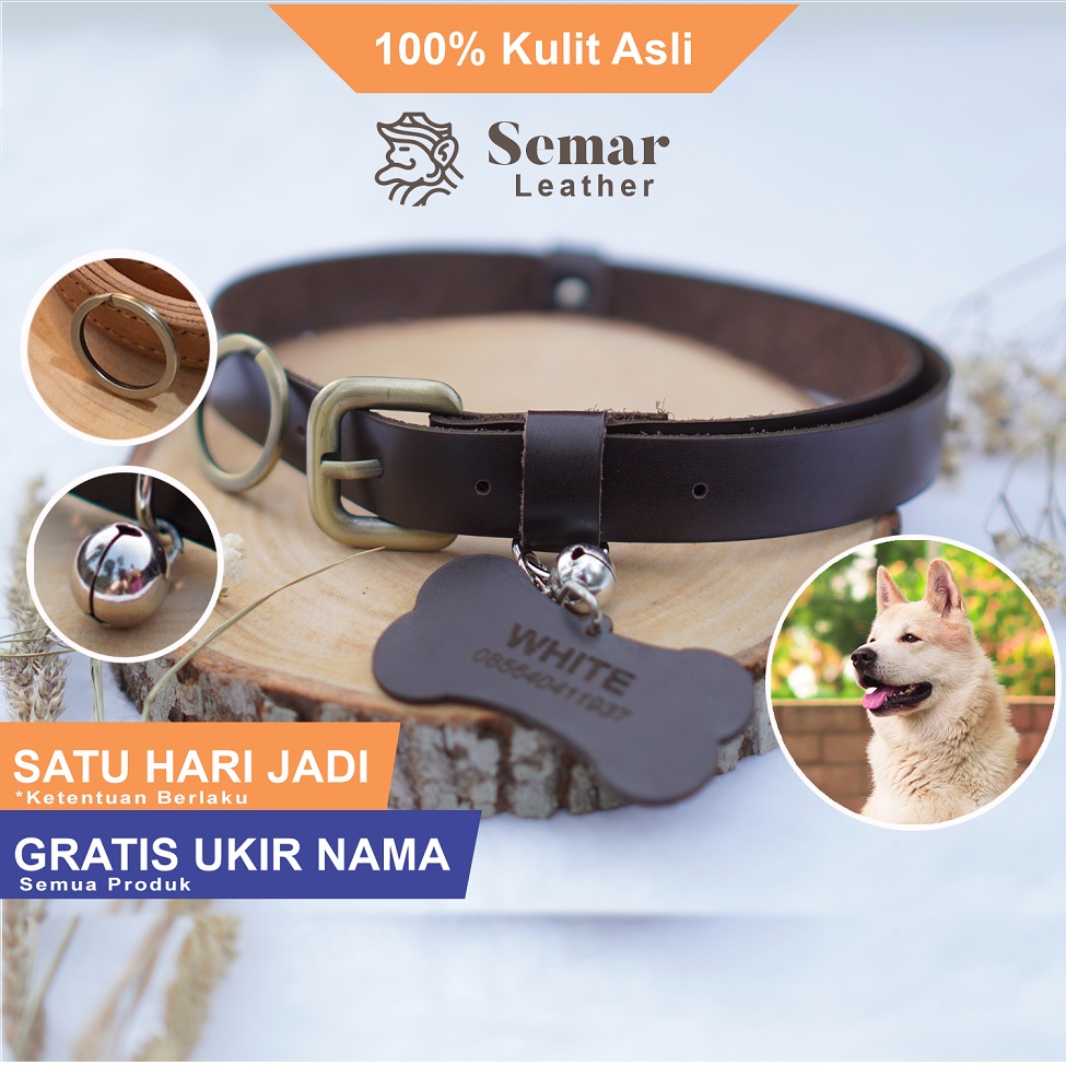 Kalung Anjing Besar Dewasa Custom Nama Kulit Asli CT