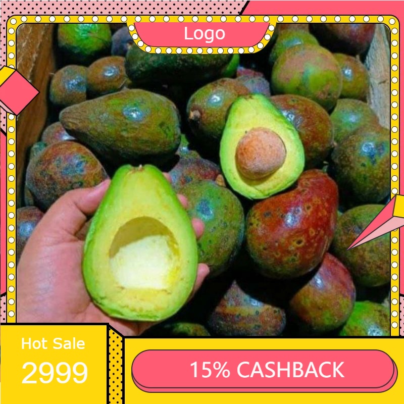 

RENGKEK SURABAYA - Buah Alpukat isi 3-5 Per Kg