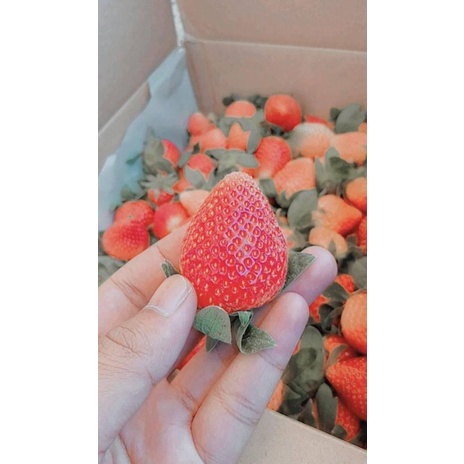 

strawberry