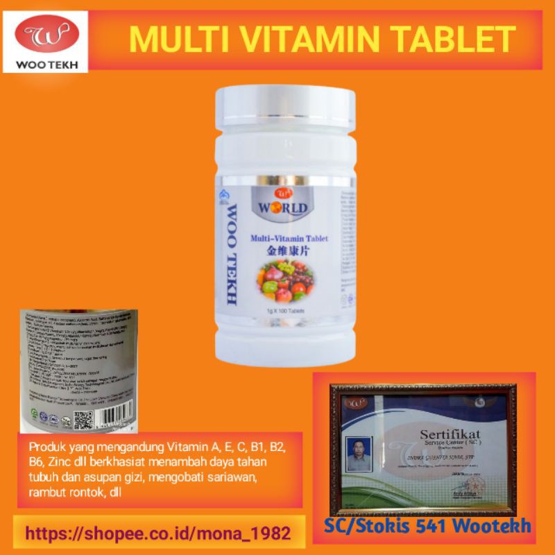 Jual MULTIVITAMIN TABLET WOO TEKH (VITAMIN C, A, E, B1, B2, B6, ZINC