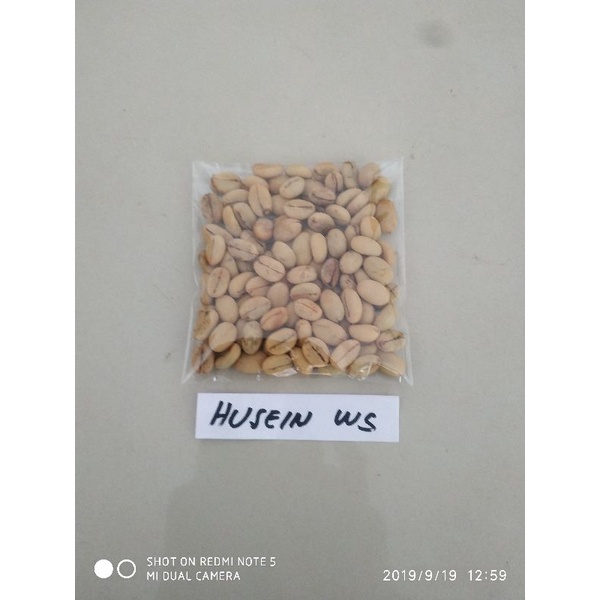 kopi liberika biji benih bibit kopi nangka atau liberika