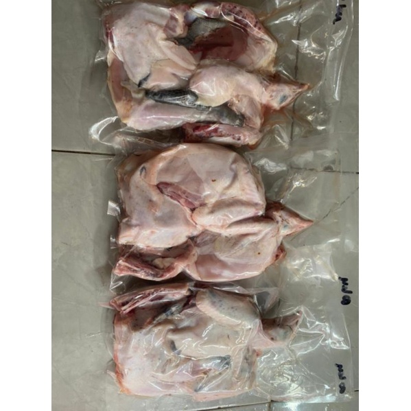 

Paket Ayam Kampung 3 ekor