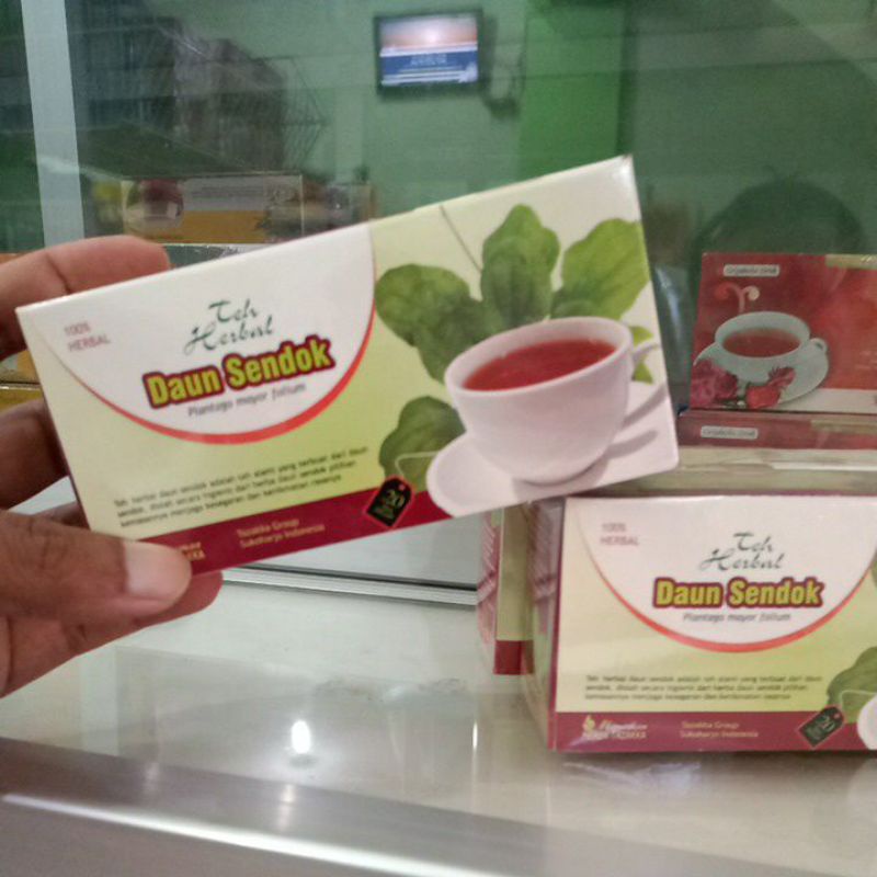 

Teh daun sendok herbal mengobati nyeri sendi asam urat dan reumatik