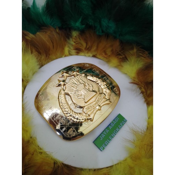 Kepala Kopel Polisi Propam