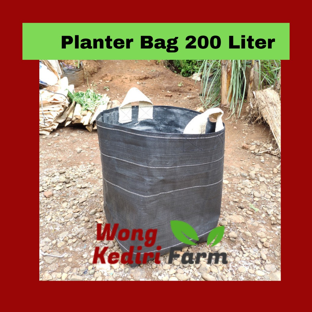 Planter bag 200 liter - PlanterBag 200 Liter / UK65 Murah Grosir