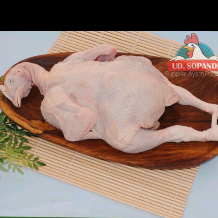 

AYAM NEGERI UTUH 1 EKOR