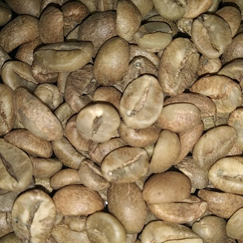

GREEN BEAN KOPI SEMENDO