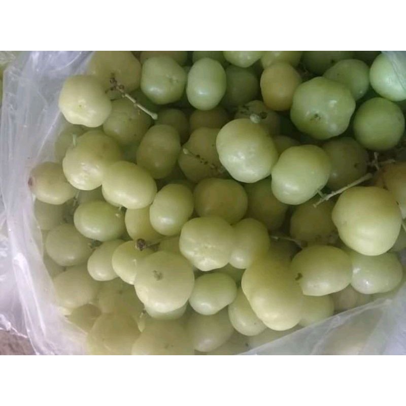 

BUAH CERMAI/CERMEI SEGAR SATU KILO