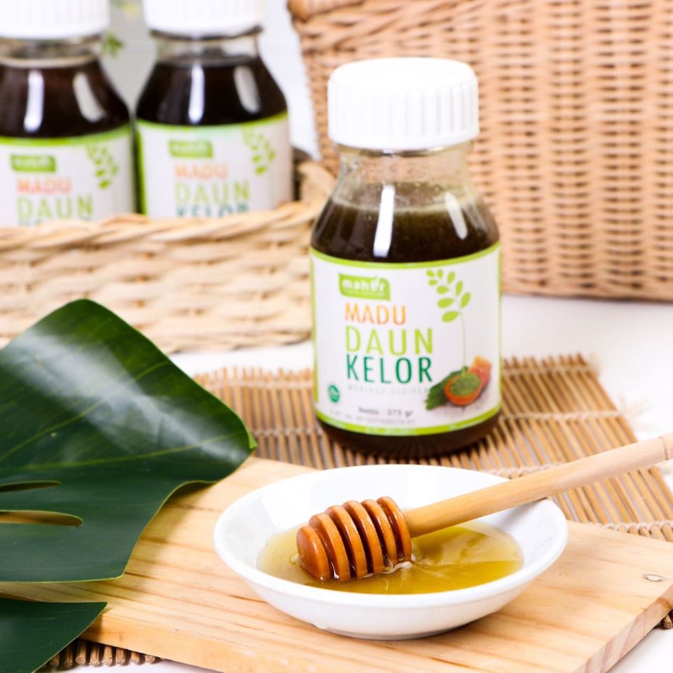 Herbal Madu Daun Kelor Moringa Oleifera Atasi Hipertensi Dan Kencing Manis Indonesia