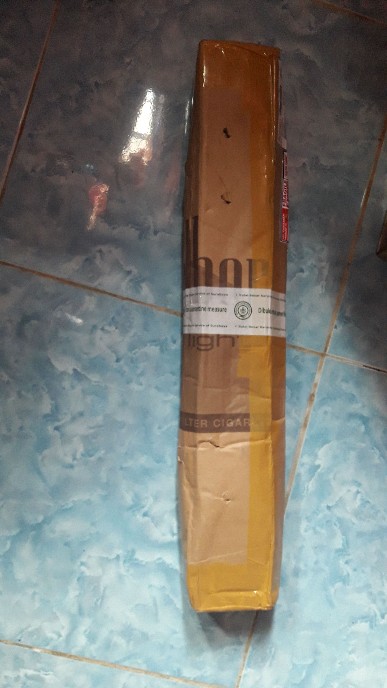 Tanaman Hias - Bibit Bunga Gloxinia