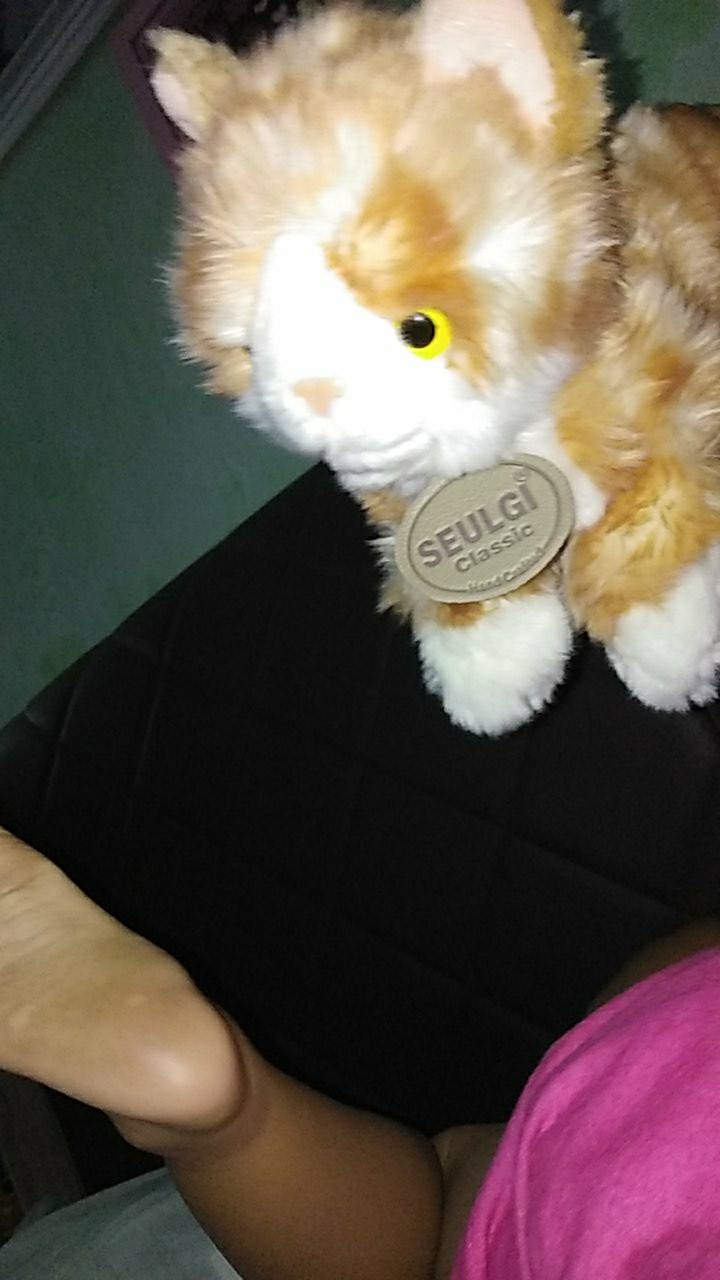 Boneka kucing exclusive - FREE sisir kucing | Shopee Indonesia