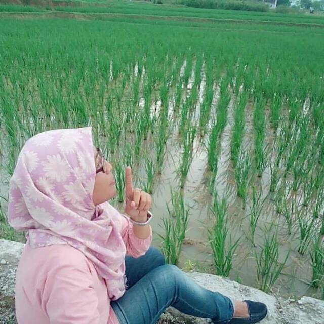 ermahermawatisantoso