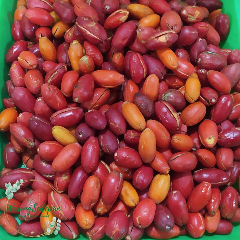 

Kulit Melinjo per bungkus Sayur Segar Cikarang