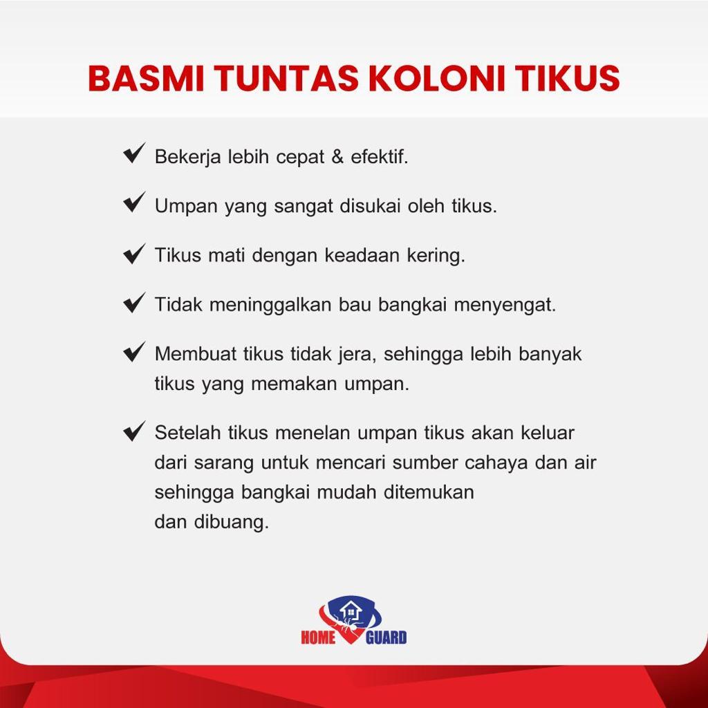 Home Guard Rats Killer 100gr 200gr | Racun Tikus Mati Kering Tidak Berbau