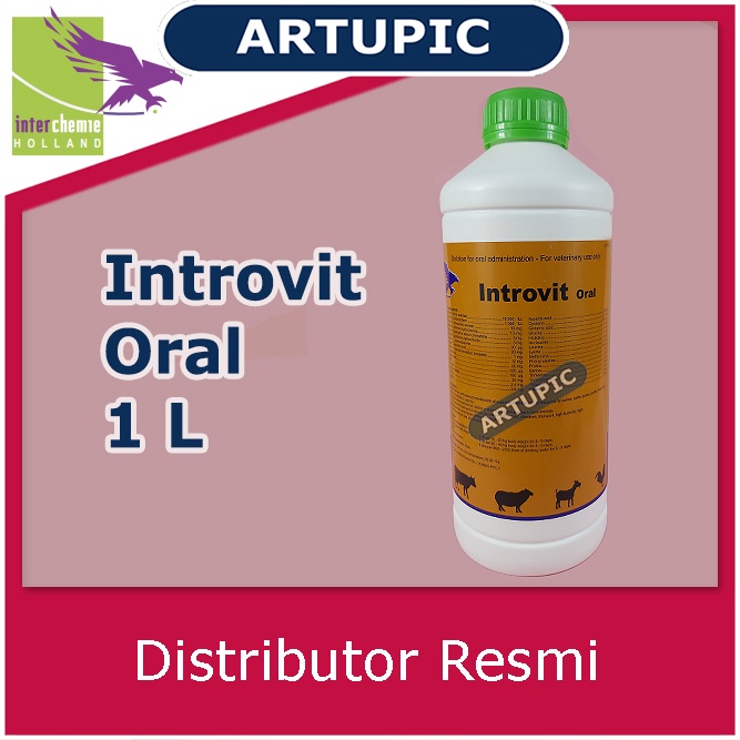 Introvit Oral 1 Liter Multivitamin Lengkap Asam Amino Ternak Hewan Vitamin Holland Mempercepat Pertumbuhan dan Meningkatkan Produksi Telur Daya Tahan Tubuh Mengatasi Stres Stamina Daging Telur Susu Ayam Sapi Kambing Babi Domba