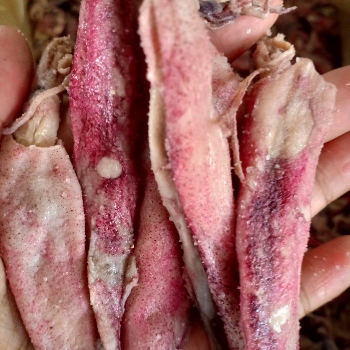 

ikan cumi karet asin