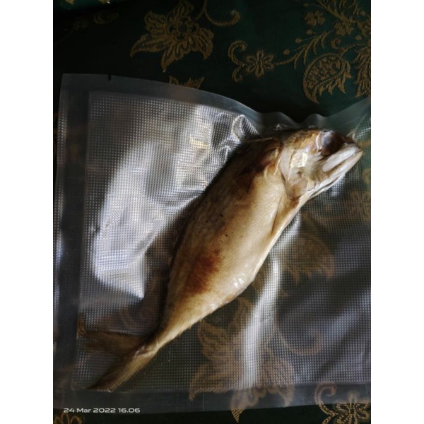 

ikan peda merah