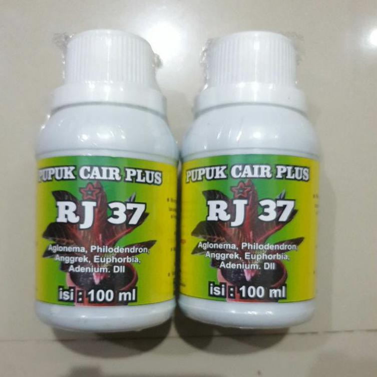 3.3 Promo >> Pupuk Cair Plus RJ 37 untuk Aglaonema