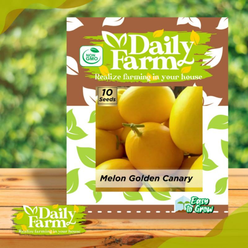 Premium Benih Buah Melon Golden Canary ( Daily Farm )