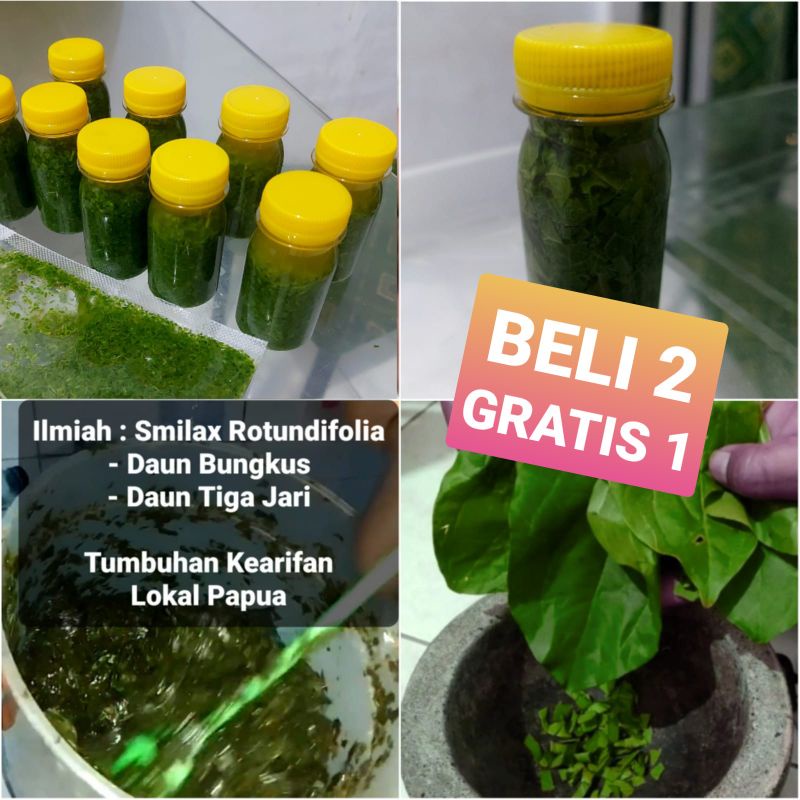 Olahan Asli Daun Bungkus Papua 100% Herbal (Smilax Rotundifolia)