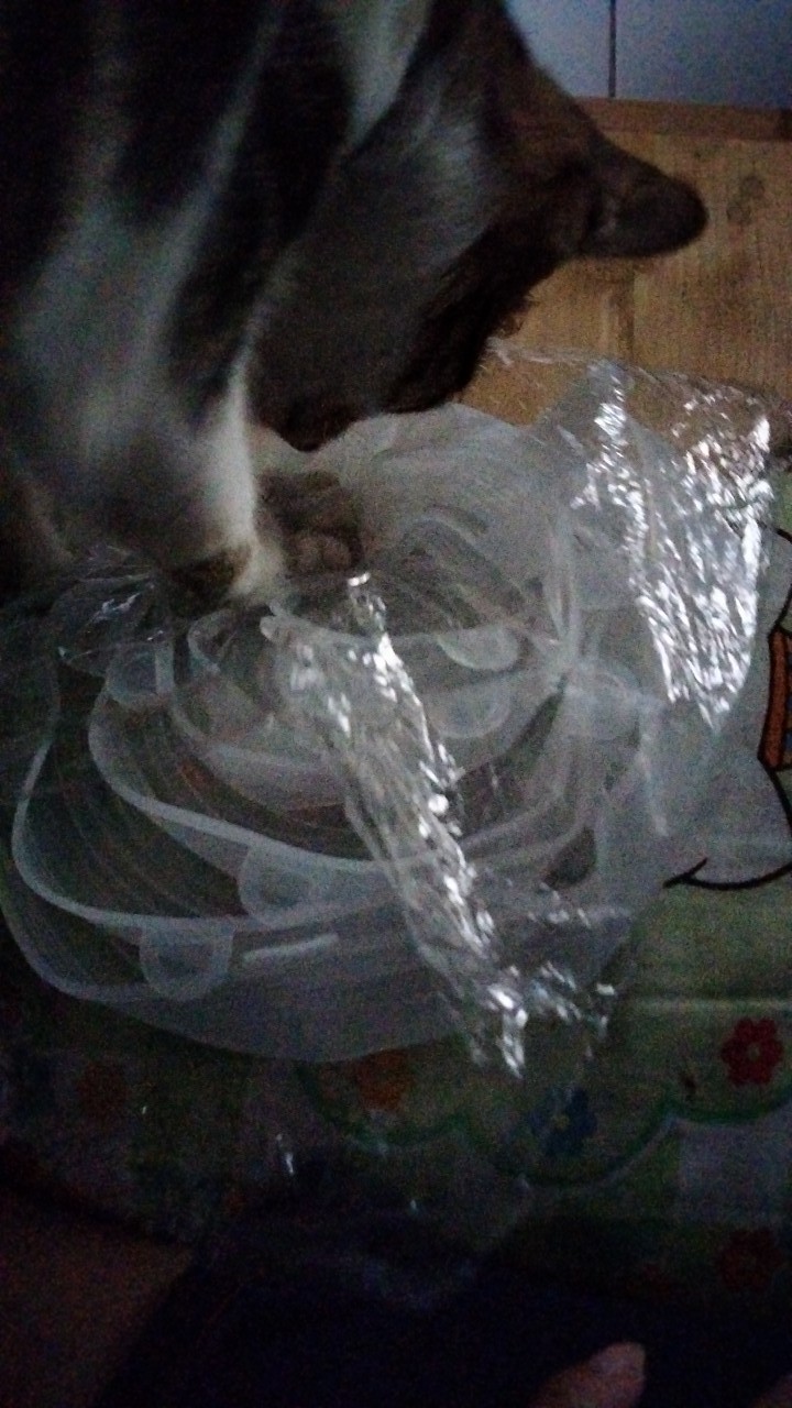 [acq] Penutup Makanan Silikon Elastis / Food Cover 6 In 1