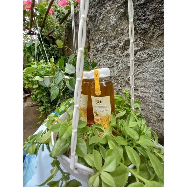 

Madu Murni 350 gr Madu Asli Tanpa Bahan Campuran Madu caca