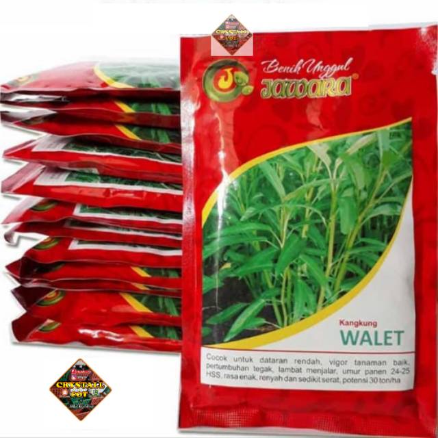 Benih bibit kangkung walet 100 gr - produk jawara