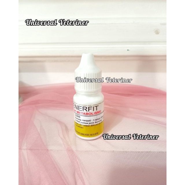 ENERFIT-ATP PENINGKAT STAMINA BURUNG