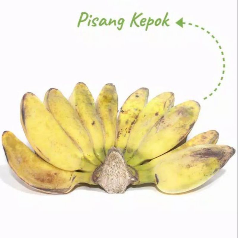 

pisang kepok