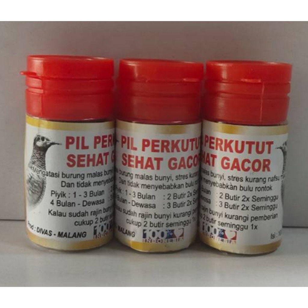 Jamu Pil perkutut sehat gacor perkutut