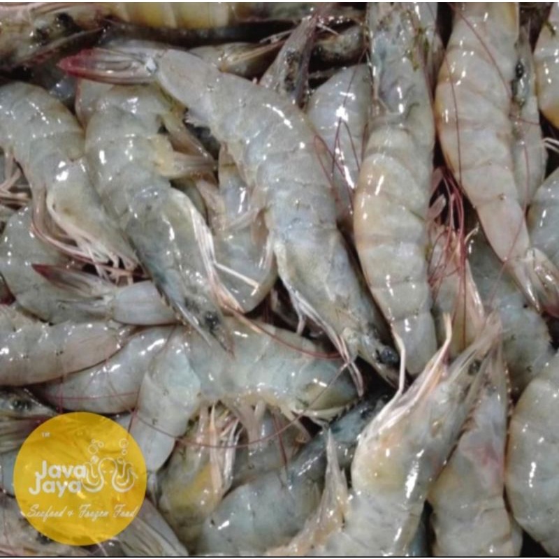 

Udang Vaname Utuh Segar Beku / Udang fanami