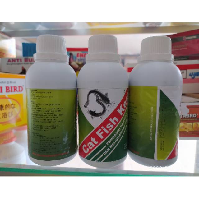 Catfish Keep/ Cat Fish Keep/ Obat Parasit Bakteri Jamur dan Lumut Ikan