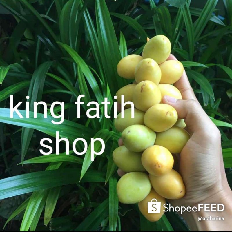 Sukses Promil Hindari 7 Kesalahan Berikut Ini Agar Cepat