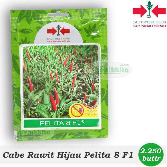 Produk Ready Benih/Bibit Cabe Rawit Hijau Pelita 8 F1 (Cap Panah Merah)