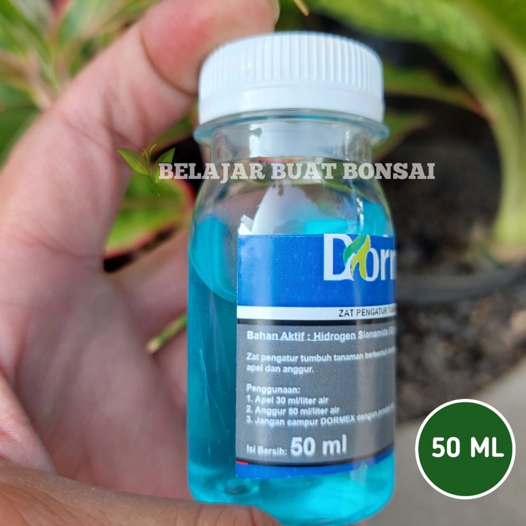 Dormex 520 SL Pupuk ZPT Anggur Dan Apel Kemasan Repack 50ml